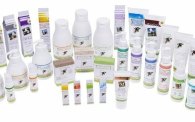 MooGoo_group_shot (small)