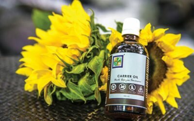 Spa Vivent Vertriebs GmbH SpaviventMassageOil