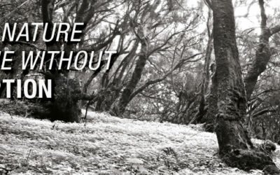 NATRUE forest-fb